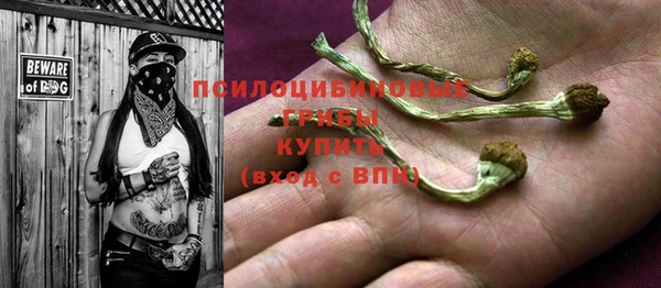 не бодяженный Краснослободск